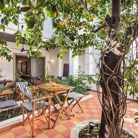 Lemon Tree Stay-3